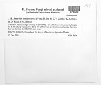Image Associated With the Occurrence
